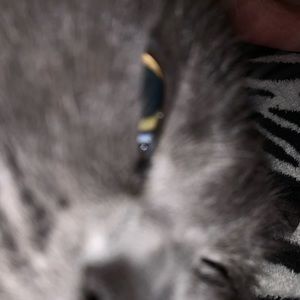 Meet your Posher, Jim